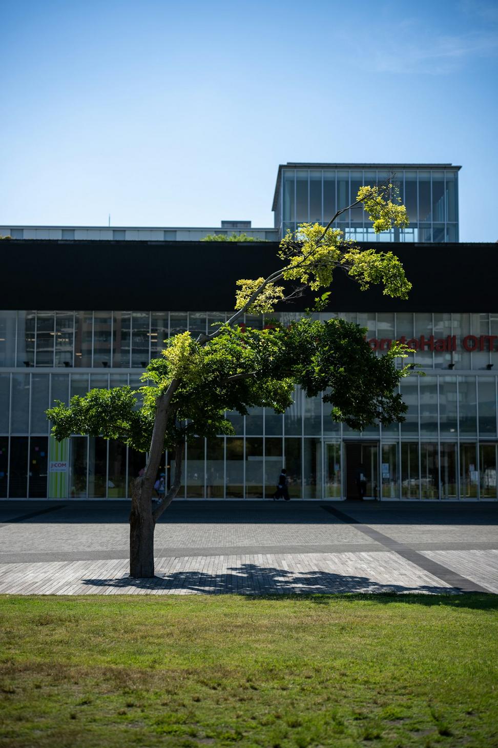 CinderVault Fitness Location